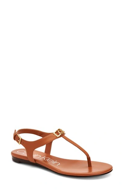 Shop Calvin Klein Shamary T-strap Sandal In Brown Leather