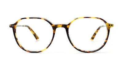 Shop Taylor Morris Eyewear Sw2 C3