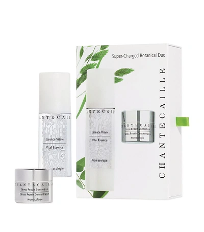 Shop Chantecaille Super Charged Botanical Duo In White