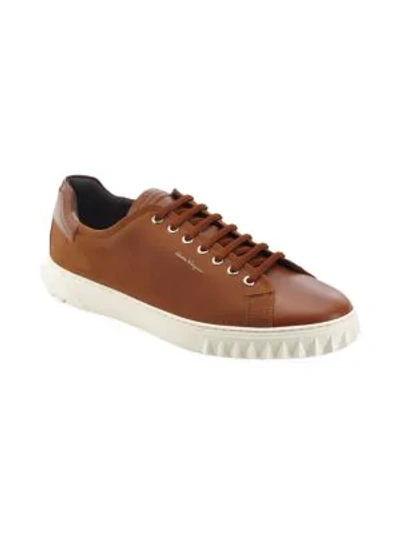 Shop Ferragamo Men's Cube Leather Low-top Sneakers In Brown