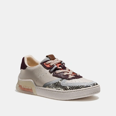 Coach Citysole Court Sneaker In Snakeskin In Multi