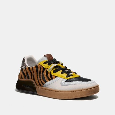 Shop Coach Citysole Court Sneaker With Snakeskin Detail In Multi Color