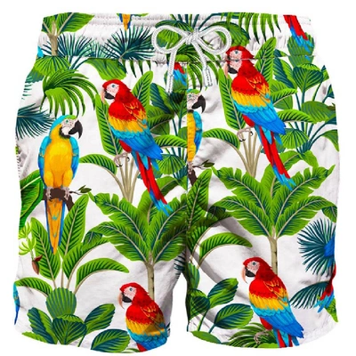 Shop Mc2 Saint Barth Parrot Print Mid-length Swim Shorts In Fancy