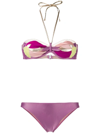 Shop Adriana Degreas Appliqué Floral Bikini In Purple