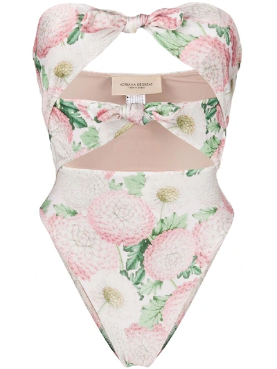 Shop Adriana Degreas Knot Detail Floral Print Swimsuit In Pink