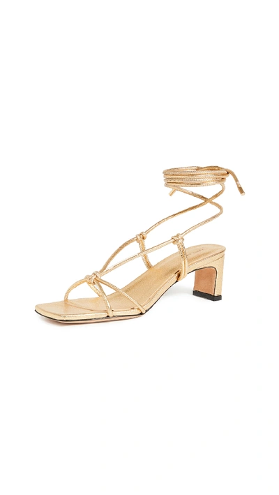 Shop Anine Bing Graham Sandals In Gold