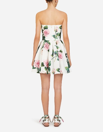 Shop Dolce & Gabbana Short Poplin Tropical Rose Print Dress In Floral Print