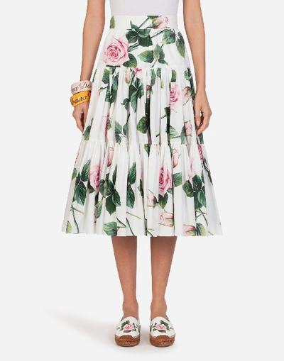 Shop Dolce & Gabbana Poplin Tropical Rose Print Circle Longuette Skirt In Floral Print