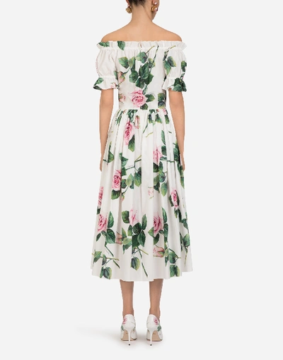 Shop Dolce & Gabbana Tropical Rose Print Poplin Longuette Dress In Floral Print