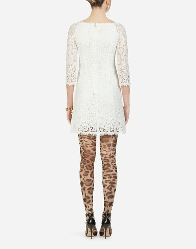 Shop Dolce & Gabbana Short Lace Dress