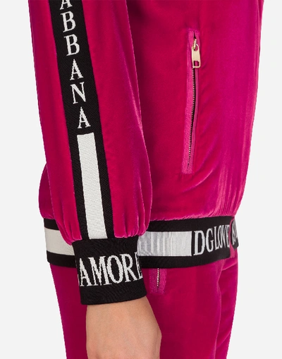 Shop Dolce & Gabbana Smooth Velvet Zip-up Hoodie In Fuchsia