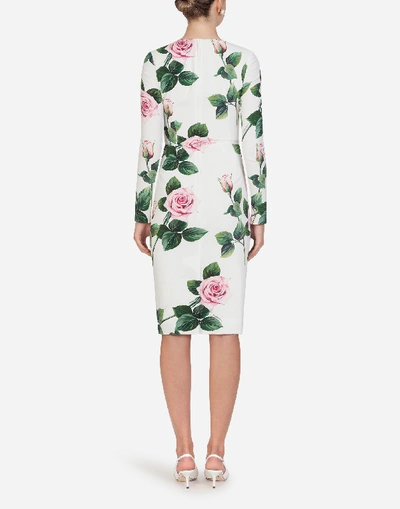 Shop Dolce & Gabbana Cady Fabric Tropical Rose Print Midi Dress In Floral Print