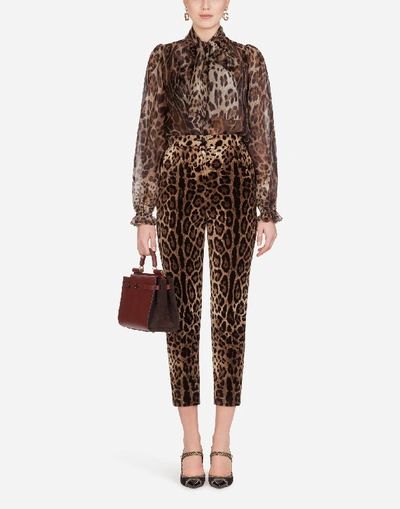 Shop Dolce & Gabbana Pussy-bow Organza Shirt With Leopard Print In Leo Print