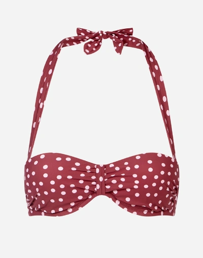 Shop Dolce & Gabbana Padded Polka-dot Print Bandeau Bra In Pink