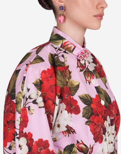 Shop Dolce & Gabbana Geranium-print Poplin Shirt In Floral Print
