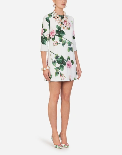 Shop Dolce & Gabbana Cady Fabric Mini Dress In Tropical Rose Print In Floral Print