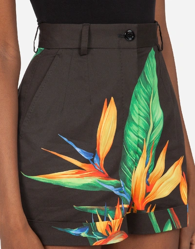 Shop Dolce & Gabbana Shorts In Drill With Bird Of Paradise Print In Floral Print