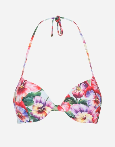 Shop Dolce & Gabbana Push Up Bikini Top With Violet Print In Floral Print