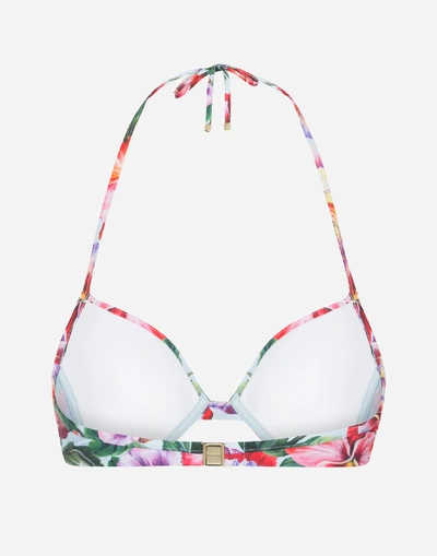 Shop Dolce & Gabbana Push Up Bikini Top With Violet Print In Floral Print