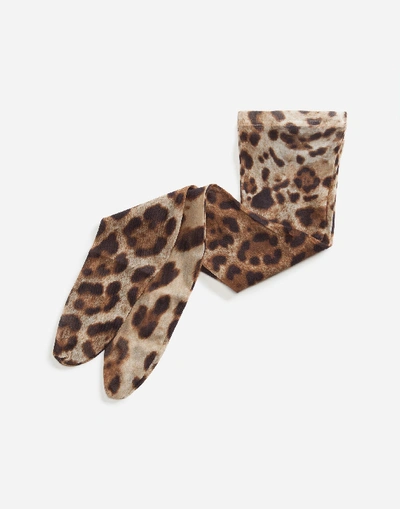 Shop Dolce & Gabbana Leopard-print Nylon Socks