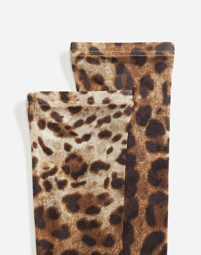 Shop Dolce & Gabbana Leopard-print Nylon Socks