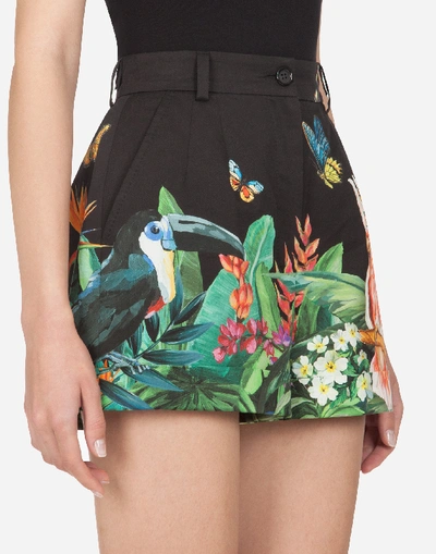 Shop Dolce & Gabbana Shorts In Drill With Tropical Jungle Print In Multicolored