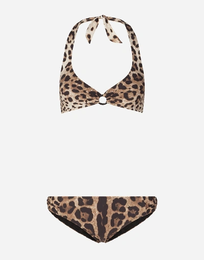 Shop Dolce & Gabbana Leopard-print Bikini