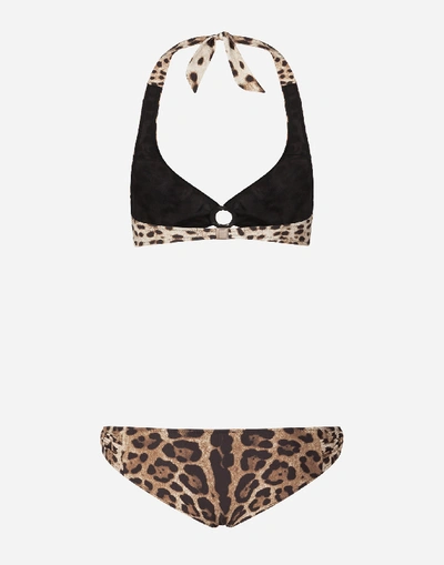 Shop Dolce & Gabbana Leopard-print Bikini