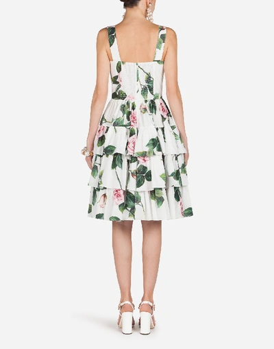 Dolce & Gabbana Tropical Rose Print Poplin Midi Dress In Floral Print |  ModeSens