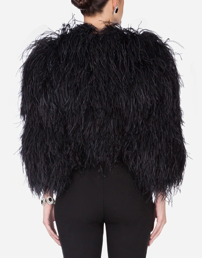 Shop Dolce & Gabbana Ostrich Feather Bolero In Black