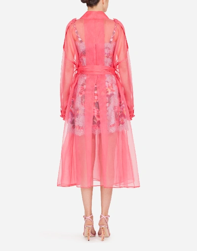 Shop Dolce & Gabbana Organza Trench Coat In Pink