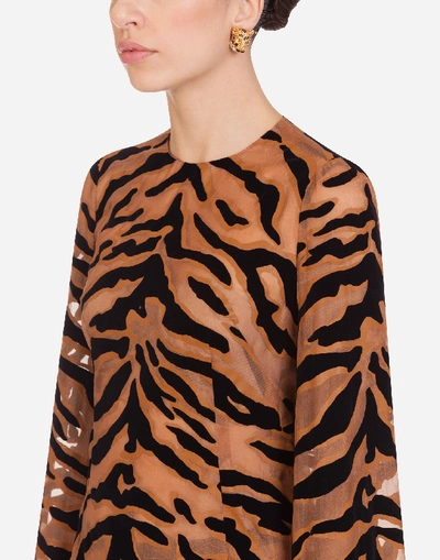 Shop Dolce & Gabbana Longuette Dress In Organza With Flocked Tiger Print In Animal Print