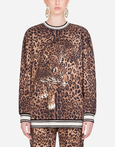 Shop Dolce & Gabbana Round-neck Jersey Sweatshirt With Leopard Print