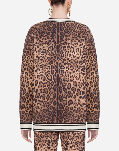 Shop Dolce & Gabbana Round-neck Jersey Sweatshirt With Leopard Print