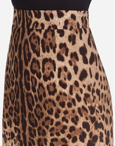 Shop Dolce & Gabbana Short Skirt In Leopard-print Double Crepe In Leo Print