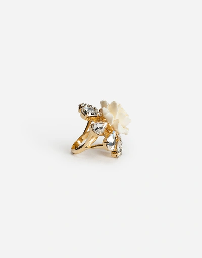 Shop Dolce & Gabbana Ring With Rose In Silver