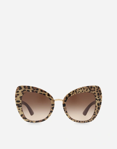 Shop Dolce & Gabbana Print Family Sunglasses In Leo Print