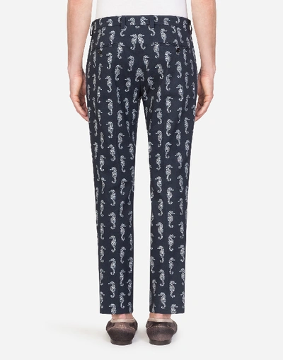 Shop Dolce & Gabbana Stretch Cotton Pants In Seahorse Print