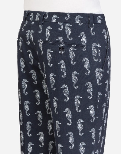 Shop Dolce & Gabbana Stretch Cotton Pants In Seahorse Print