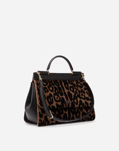 Shop Dolce & Gabbana Soft Medium Sicily Bag In Leopard Print Velvet Stitch In Animalier Print