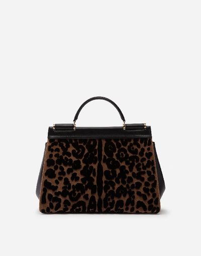 Shop Dolce & Gabbana Soft Medium Sicily Bag In Leopard Print Velvet Stitch In Animalier Print