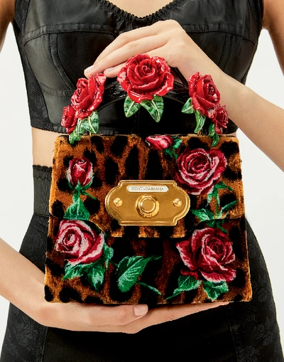 Shop Dolce & Gabbana Small Velvet-stitch Welcome Bag In Leopard Print