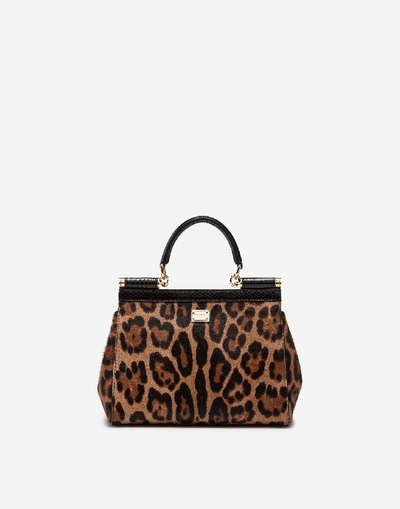 Shop Dolce & Gabbana Medium Sicily Bag In Leopard Print Embroidered Pony In Animal Print