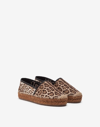 Shop Dolce & Gabbana Canvas Leopard Print Espadrillas