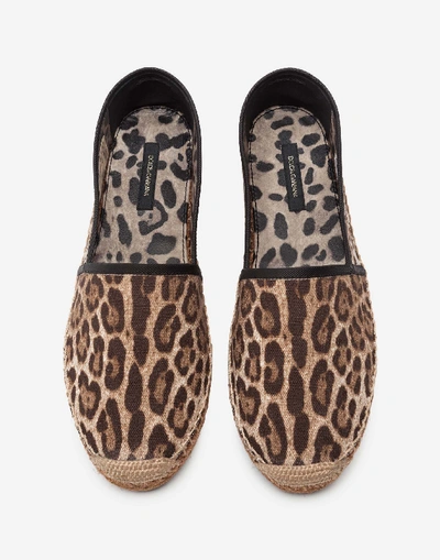 Shop Dolce & Gabbana Canvas Leopard Print Espadrillas