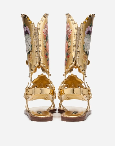 Shop Dolce & Gabbana Gladiator Sandals With Floral Painting And Studs In Gold