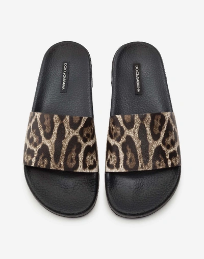 Shop Dolce & Gabbana Leopard-print Calfskin And Rubber Sliders In Leo Print