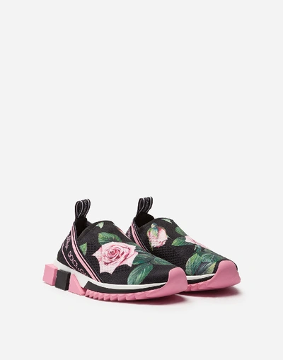 Shop Dolce & Gabbana Tropical Rose Print Stretch Mesh Sorrento Sneakers In Floral Print