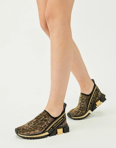 Shop Dolce & Gabbana Sorrento Sneakers In Glitter Leopard Print