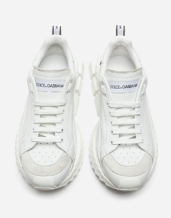 dolce gabbana queen sneakers